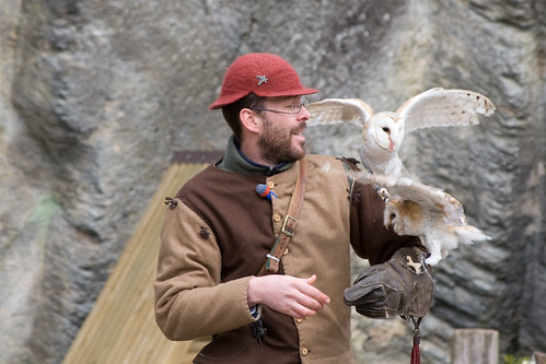 Owls during Bird of Prey show in Castle Bouillon.jpg