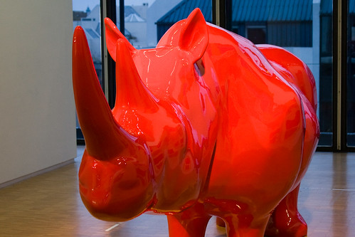 Red Rhino