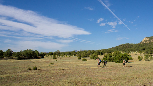 The final open meadow as we hike to the turnaround