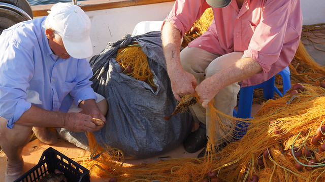 Fishermen on Serifos working on the morning catch